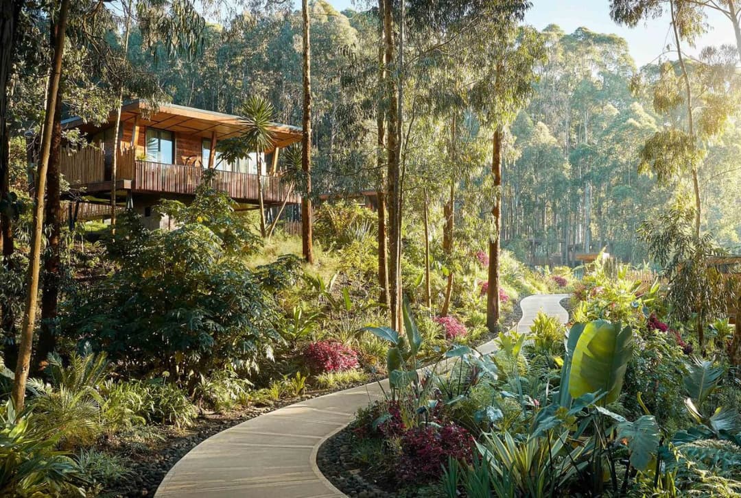 One&Only Gorilla's Nest, Rwanda